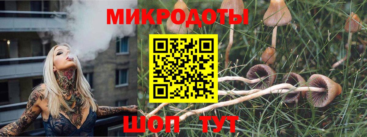 Галлюциногенные грибы Magic Shrooms Бийск