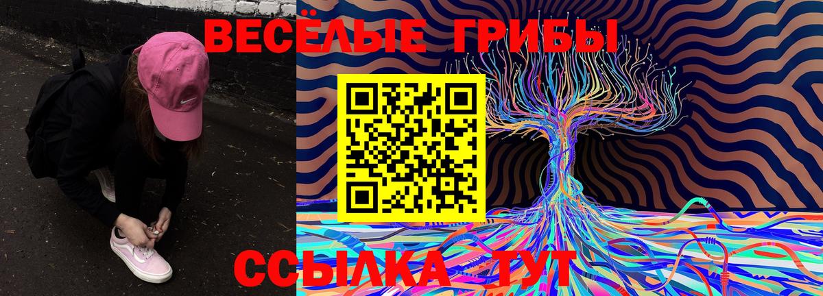 Галлюциногенные грибы Magic Shrooms  Псилоцибиновые грибы Magic Shrooms  магазин    Бийск  Вход с VPN 